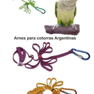 Arnes para Cotorra Argentina (varios Colores)