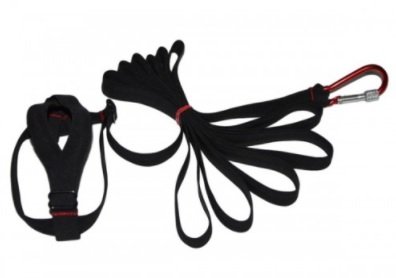 Arnes para Guacamayo. Negro