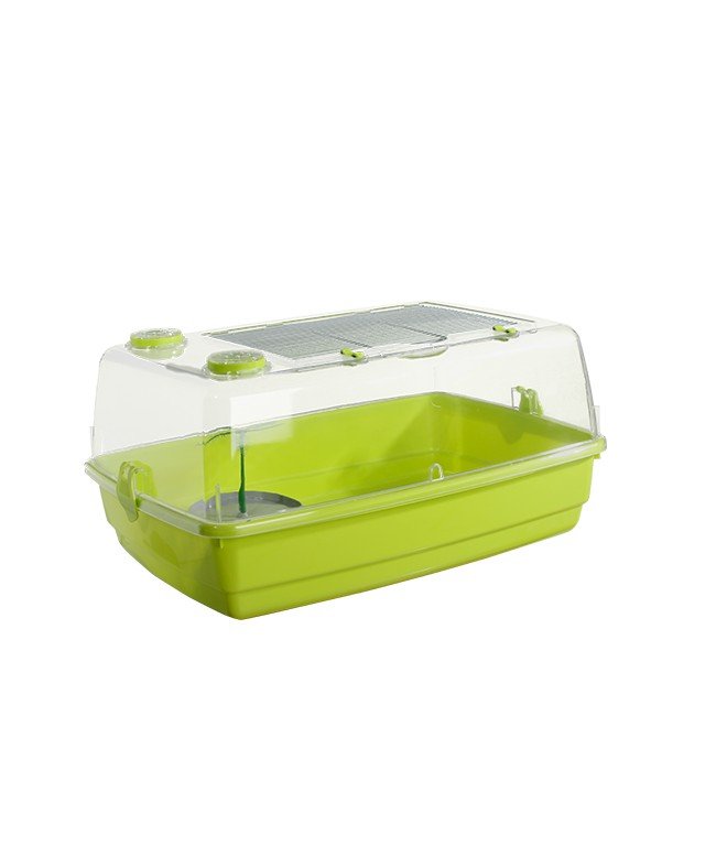 Tortuguera 501 Gris-pistacho