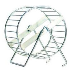 Noria Ardilla 2004 Metal