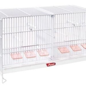 Jaulon Cria 60 Nova Blanco (4912)