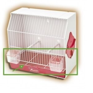 Parrilla Blanca Jaula Concurso Pedros