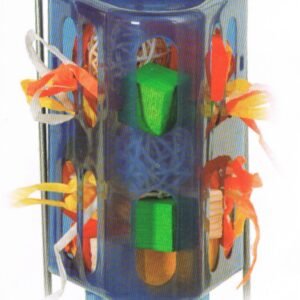 Sun Parrots Esconde y Busca-hide And Seek