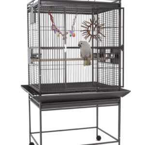 Sun Parrots Jaula Finca Gym Top Iii