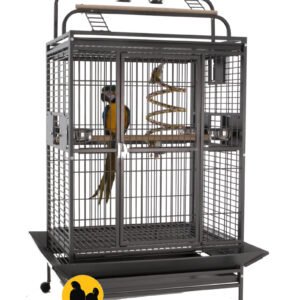 Sun Parrots Jaula Hacienda Gym