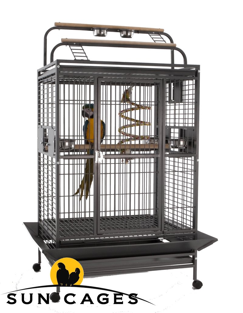 Sun Parrots Jaula Hacienda Gym