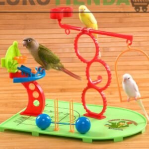 Parque Basketball (periquitos,agapornis,)