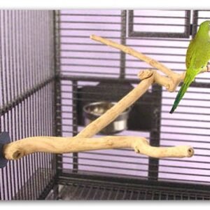 Sun Parrots Percha Java Multibranch Small