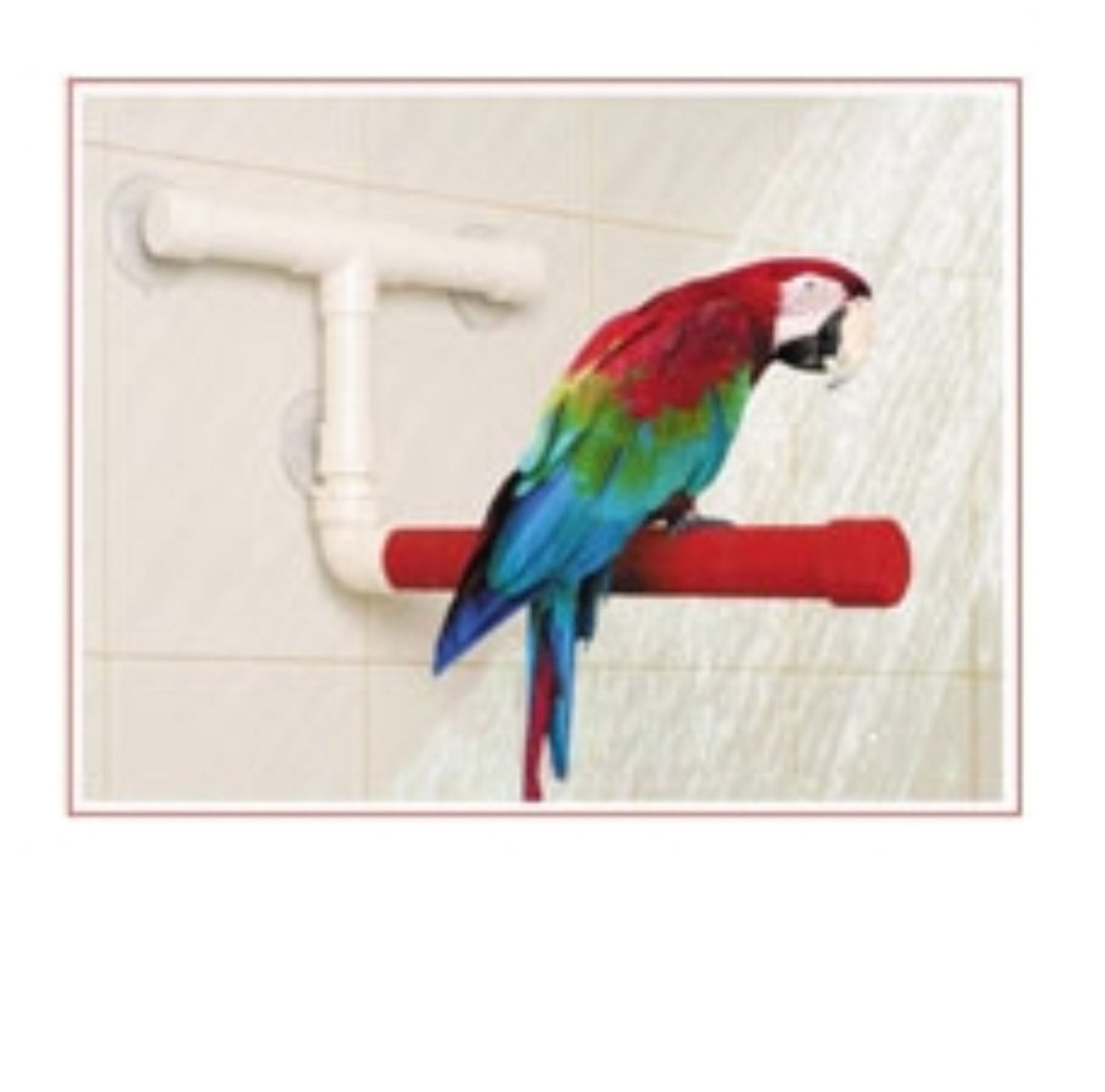 Sun Parrots Percha Ducha GDE.38X2.5CM.