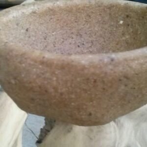 Sun Parrots Comedero Java Tree Redondo