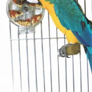 Sun Parrots la Rueda Interactiva