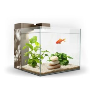 Acuario Zeneo 30 Eclat