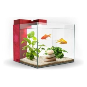 Acuario Zeneo 30 Jungle