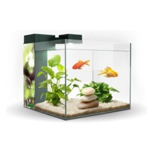 Acuario Zeneo 30 Obsesion