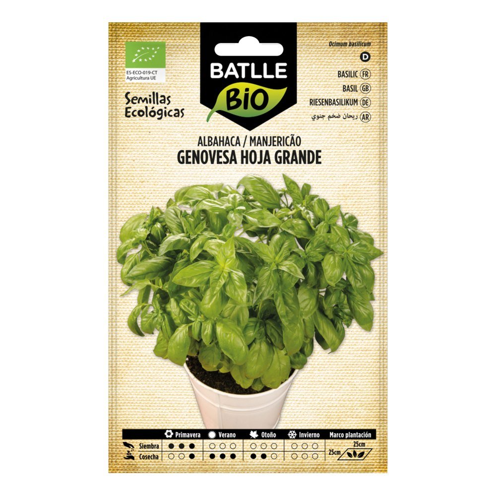 Albahaca Genovesa Hoja Grande. Eco