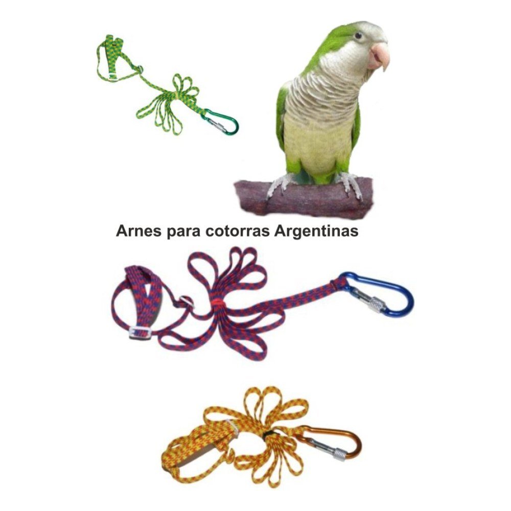 Arnes para Cotorra Argentina (varios Colores)