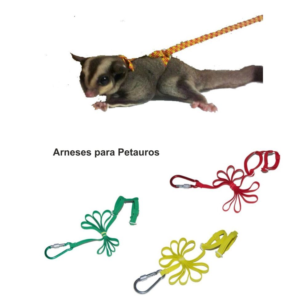 Arnes para Petauros (surtido Colores)