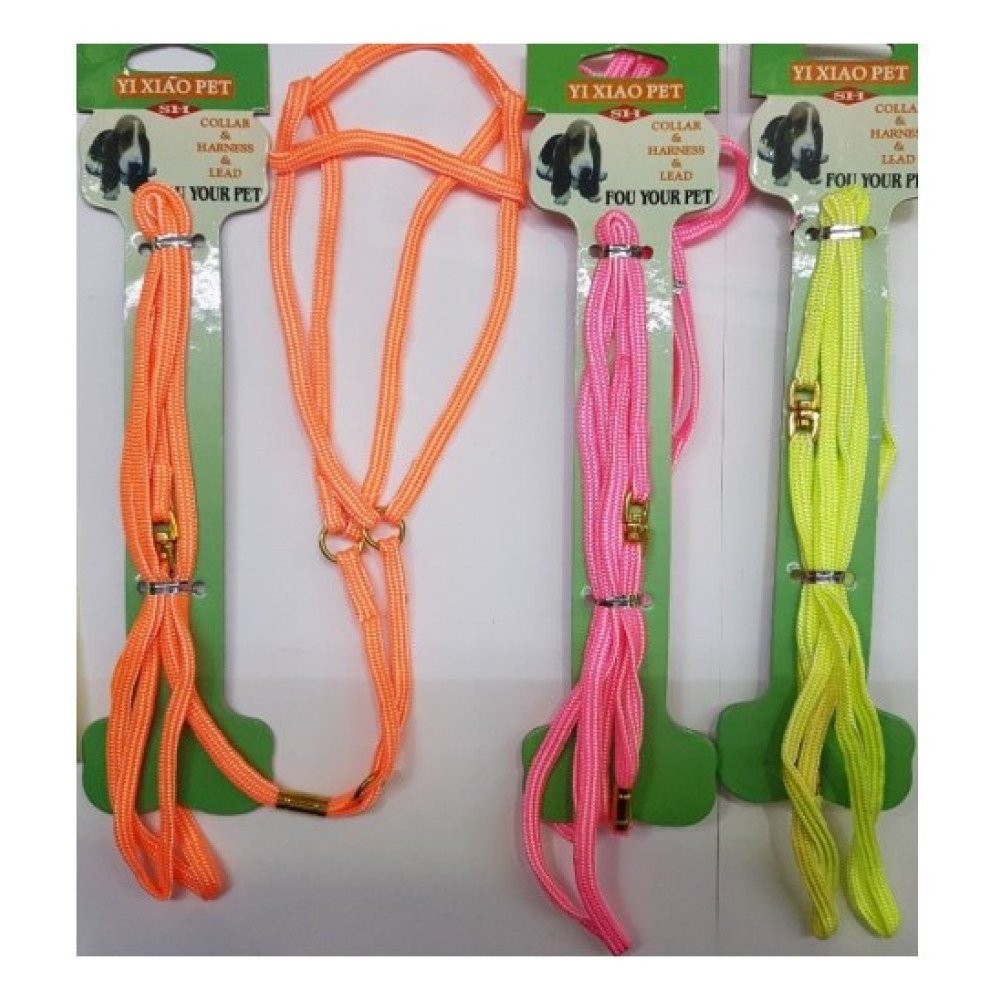 Arnes+ramal Nylon Exposicion