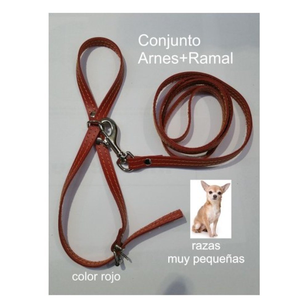 Arnes y Amarre Cuero Razas Pequeñas. Rojo