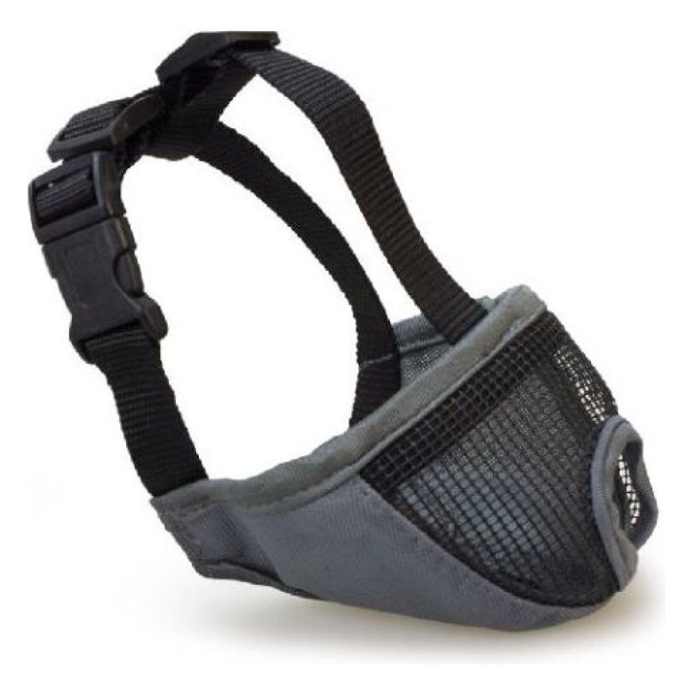 Bozal Perros Hocico Corto S/31cm