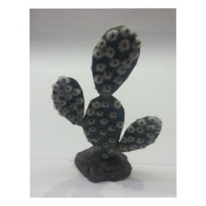 Cactus Sahara 19 cm