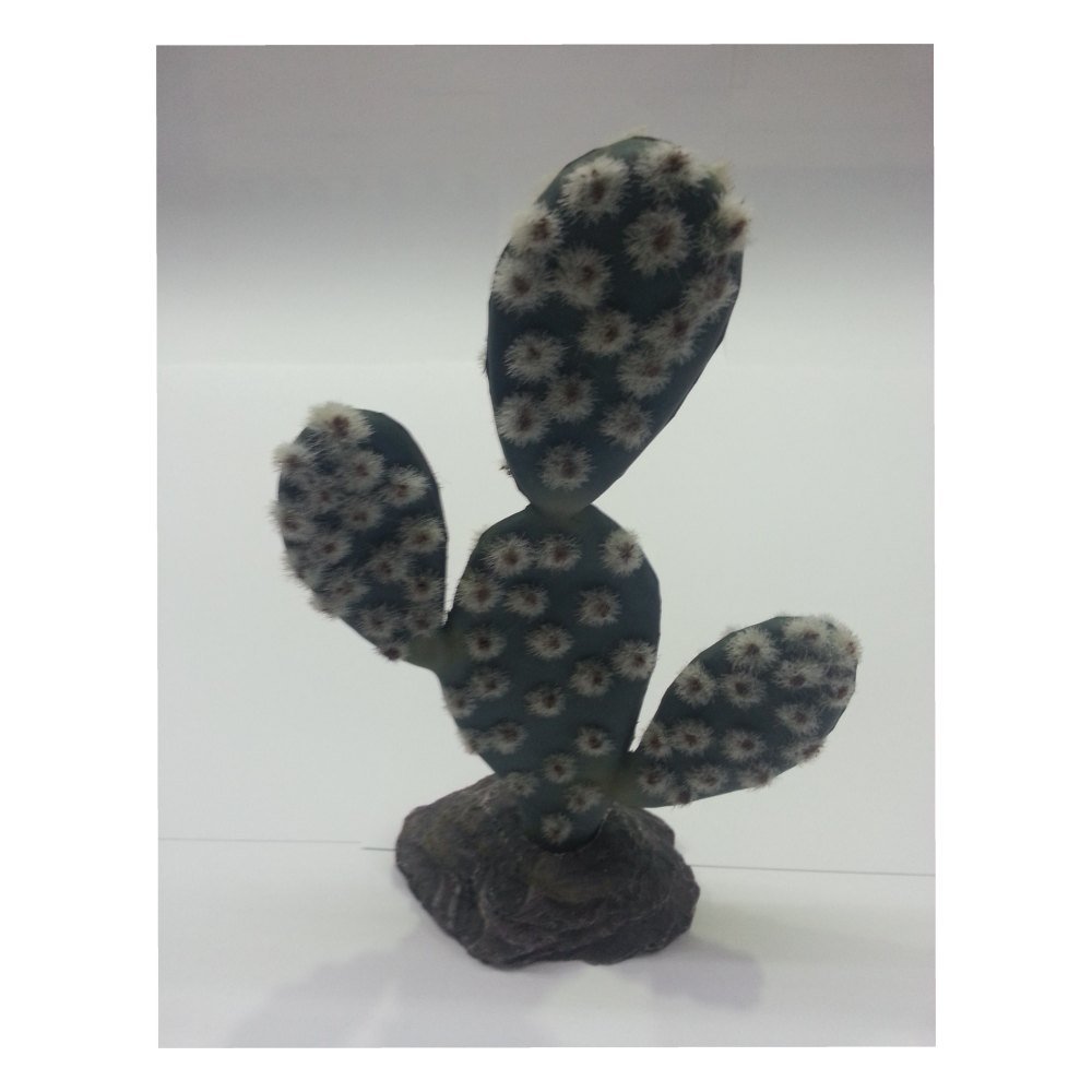 Cactus Sahara 19 cm