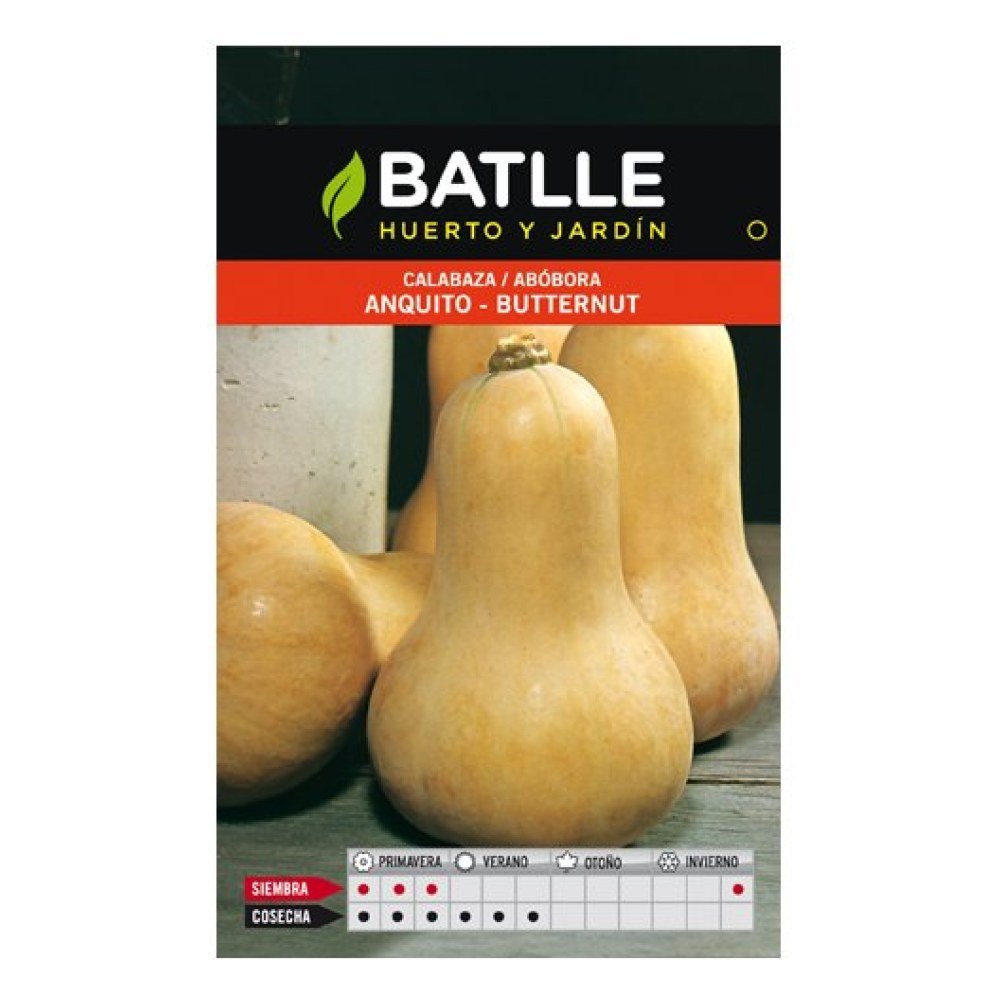 Calabaza Anquito-butternut Sobre