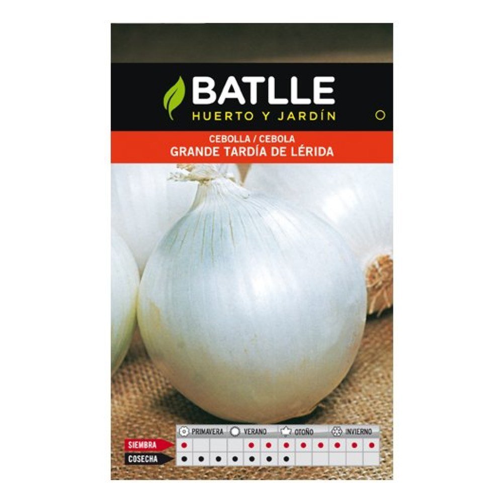 Cebolla Grande Tardia de Lerida Sobre