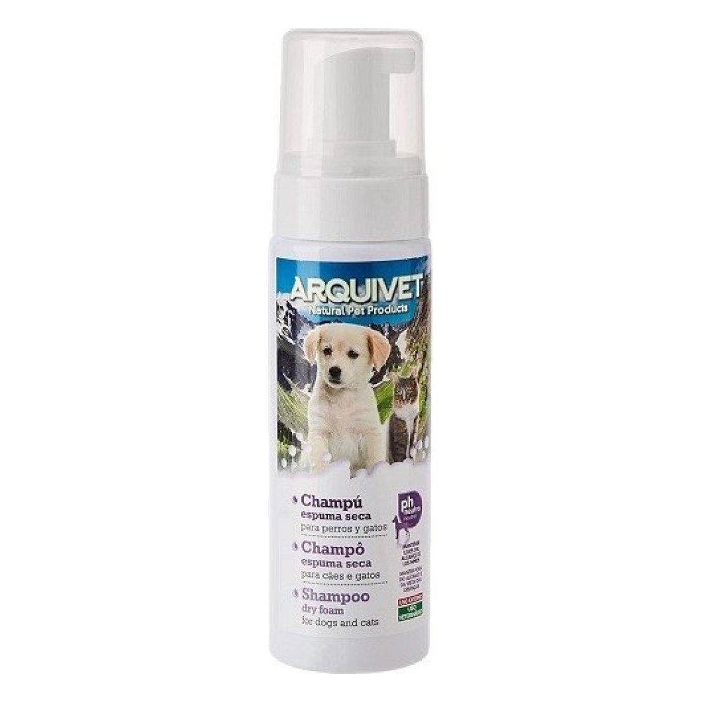 Champu Espuma Seca 200 ml Arquifresh
