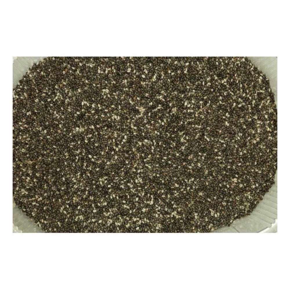 Chia (salvia Hispanica) Tarrina 550 Gr