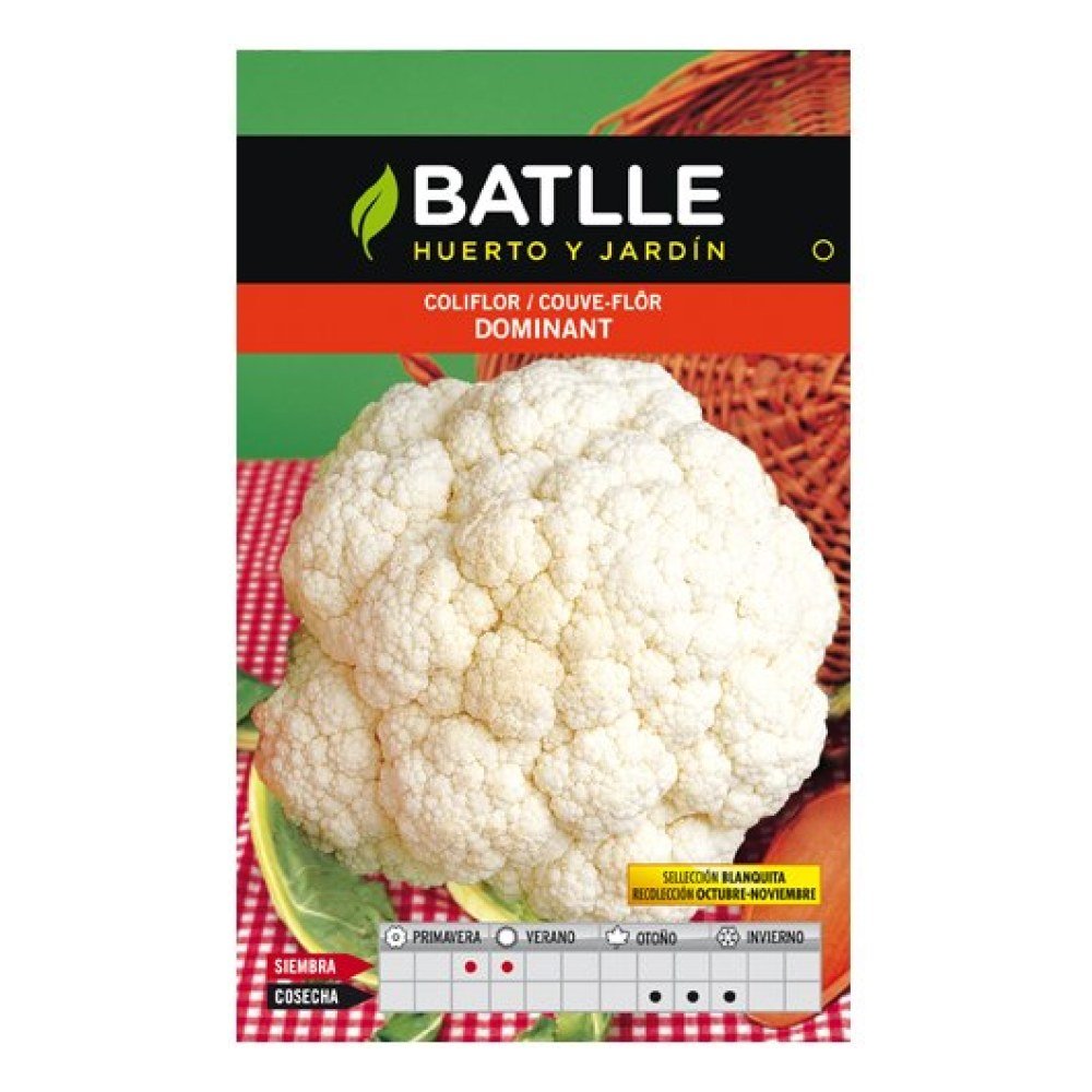 Coliflor Dominant Blanquita