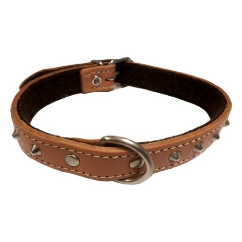 Collar C/adorno 20X450 Tosta