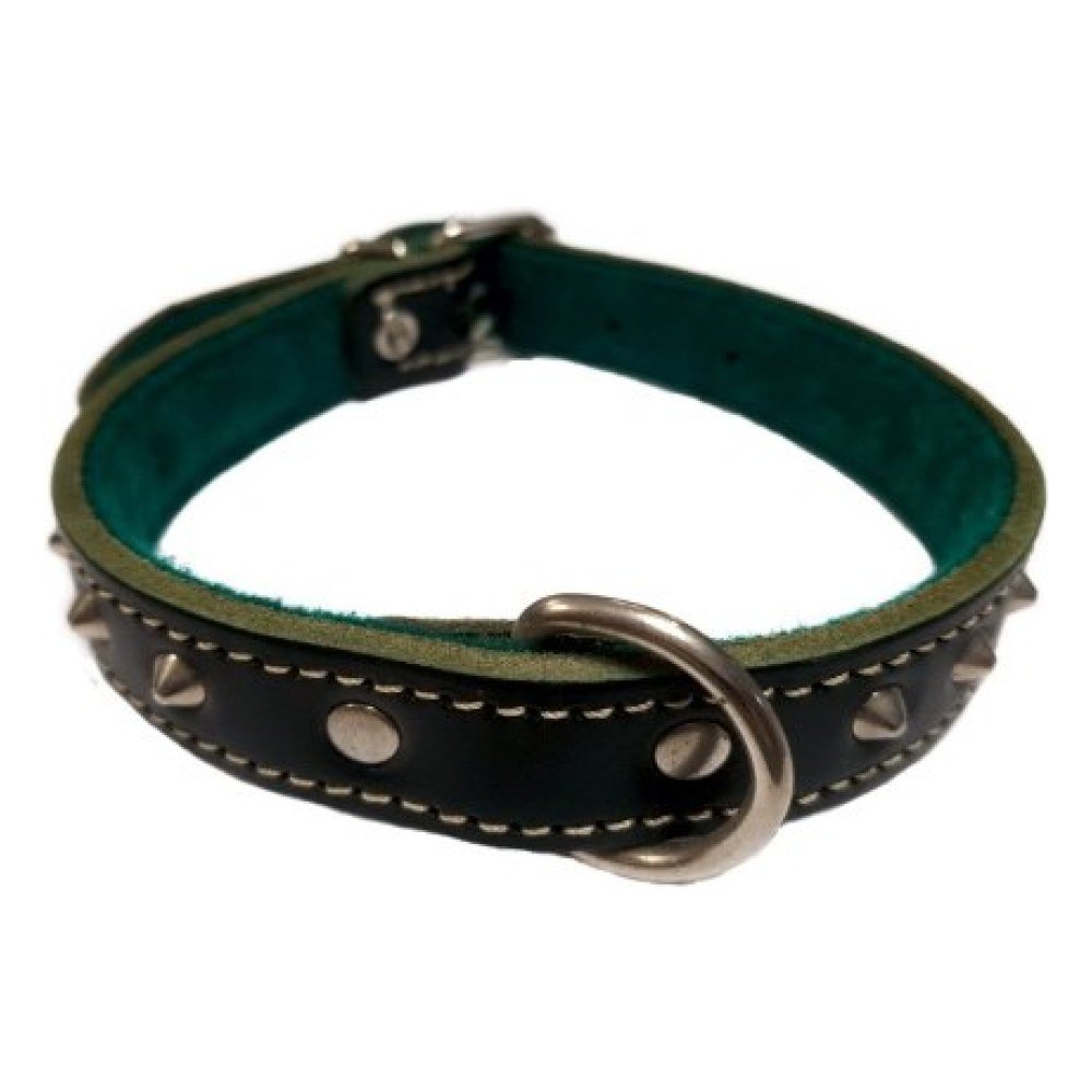 Collar C/adorno 20X450 Verde