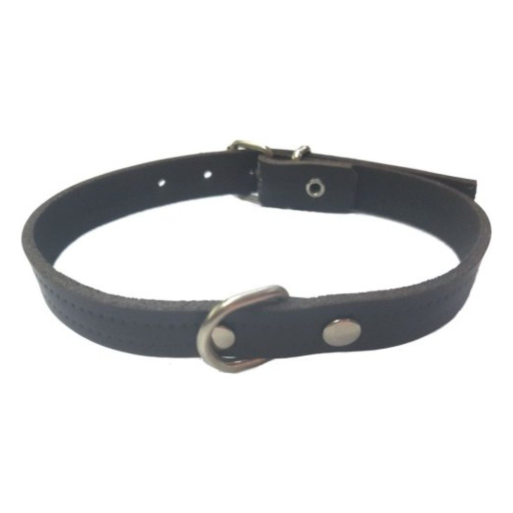 Collar Cuero Azul Laura 1, 5x 30 cm