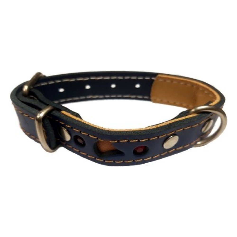 Collar Cuero Fantasia Negro 28x2cm