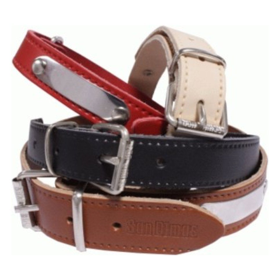 Collar Cuero con Placa 20 X 450 Mm. Negro