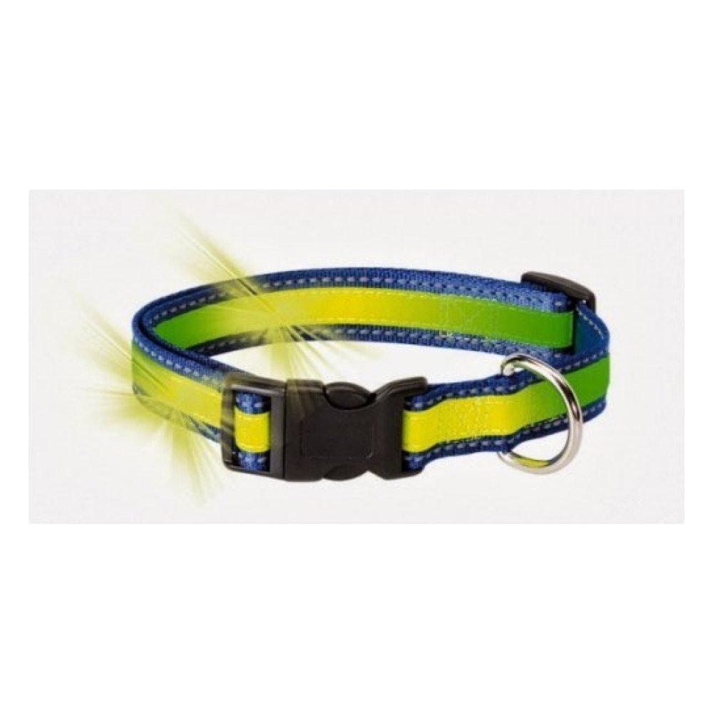Collar Fosforescente y Reflectante
