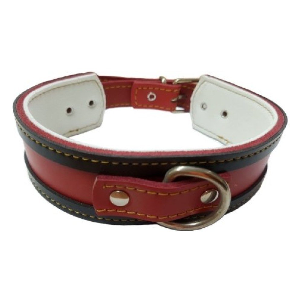 Collar Galgo Rojo Borde Negro 35X4CM