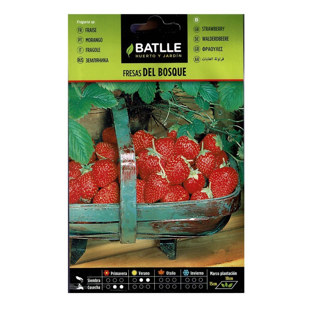 Fresas de Bosque