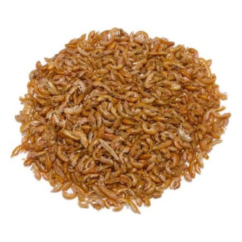 Gammarus Granel. Precio/kilo