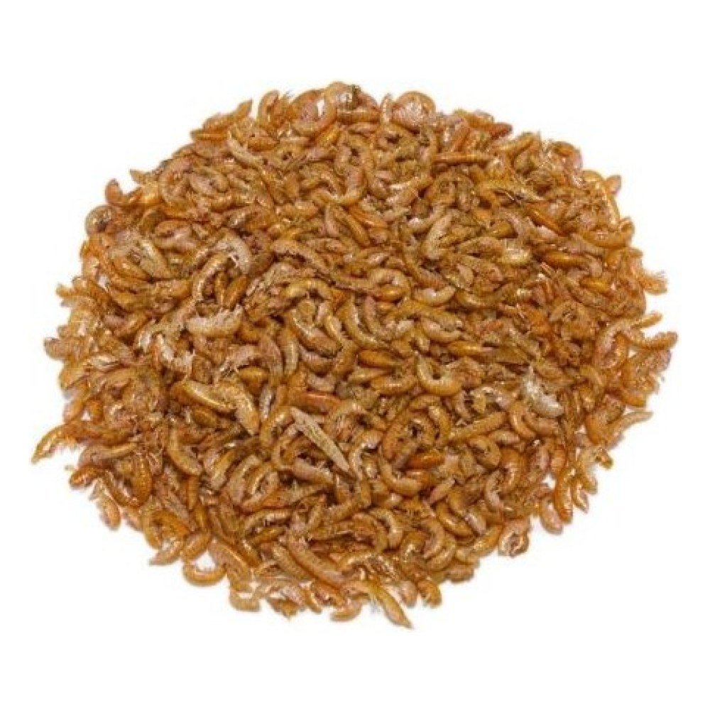 Gammarus Prodac 30 Gramos. Bandeja