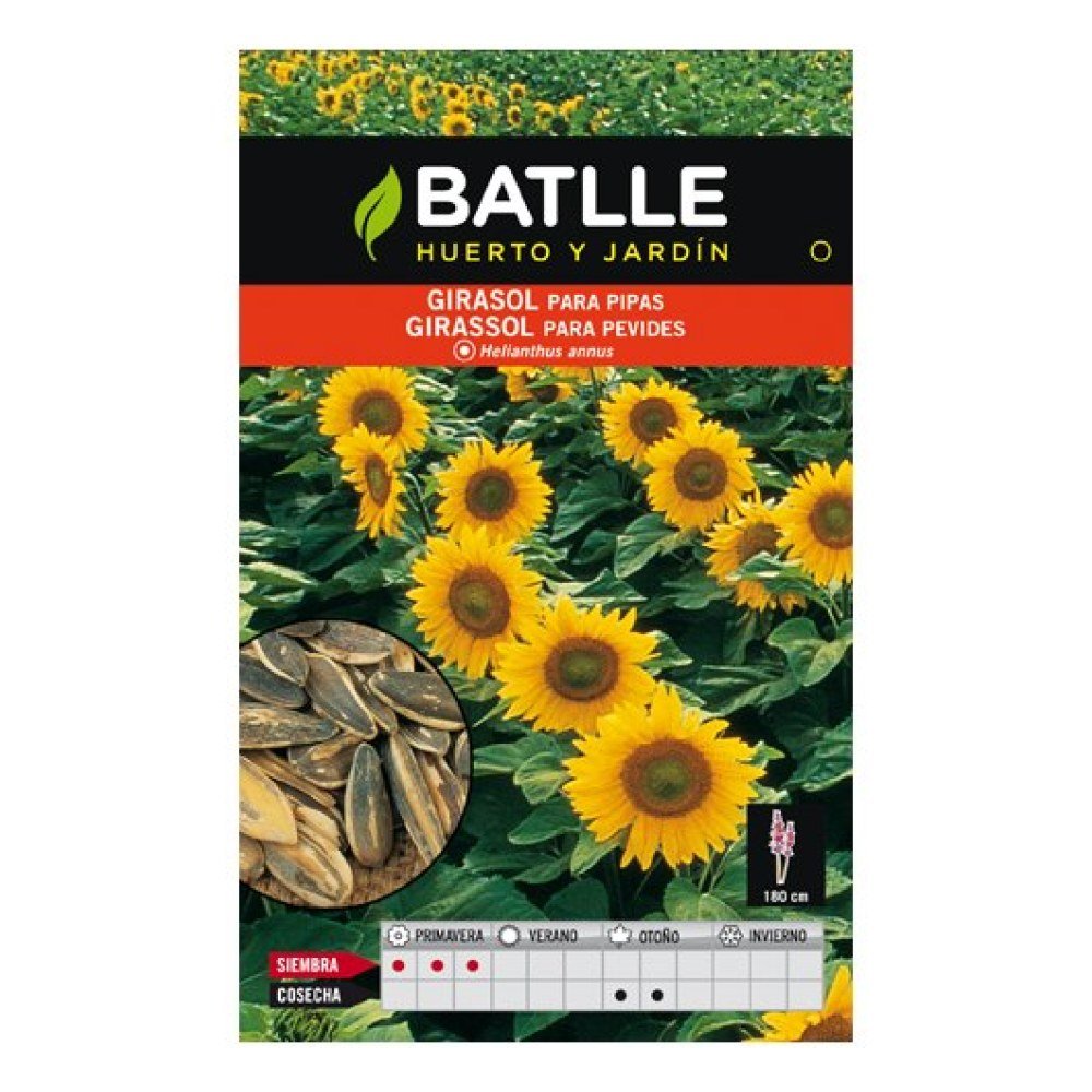 Girasol para Pipas. Batlle