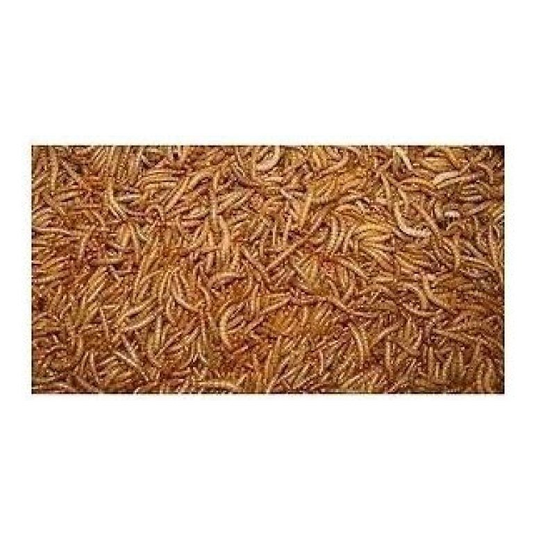 Gusanos de la Harina 1 Kg. Bolsa Prodac