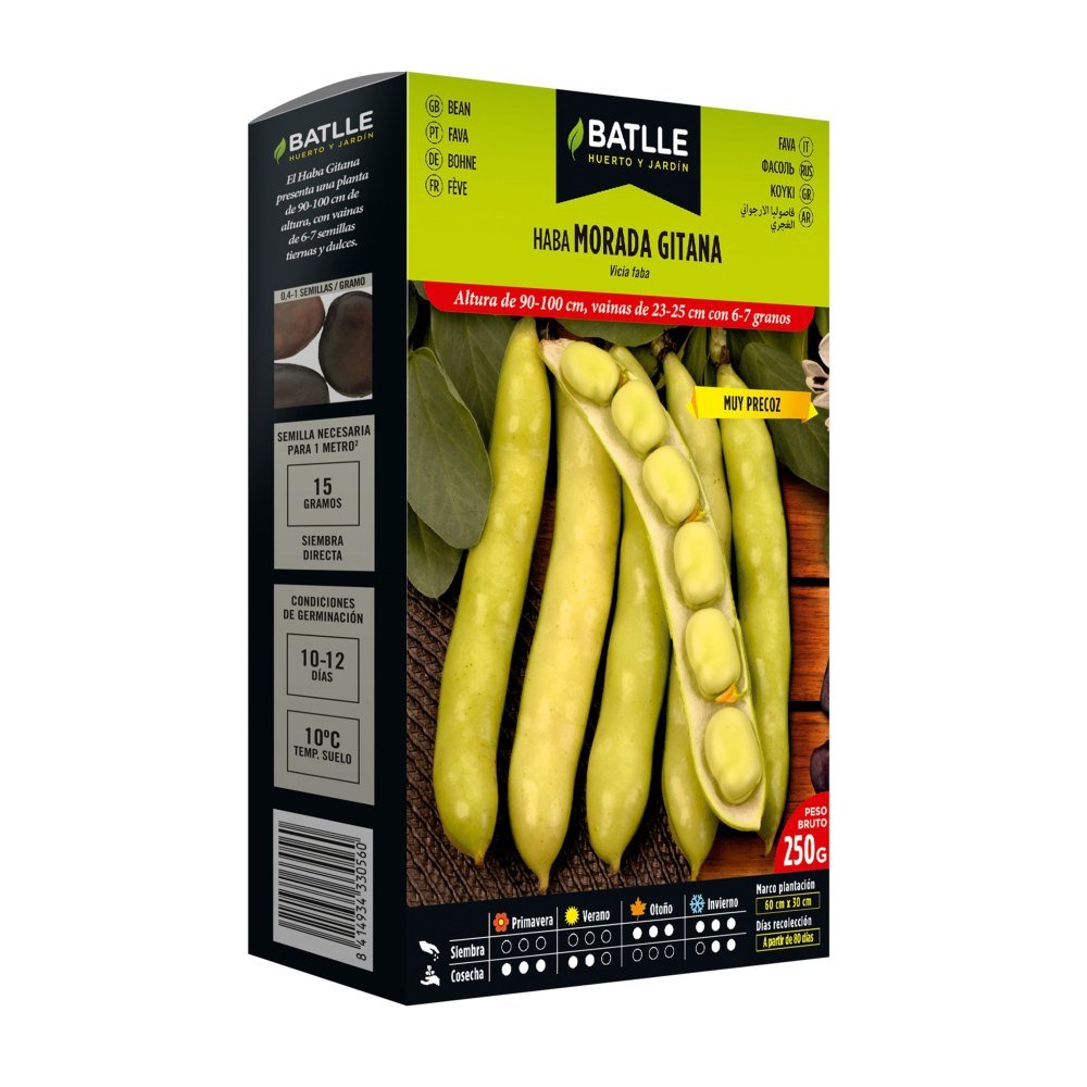 Haba Morada Gitana 250 Gr