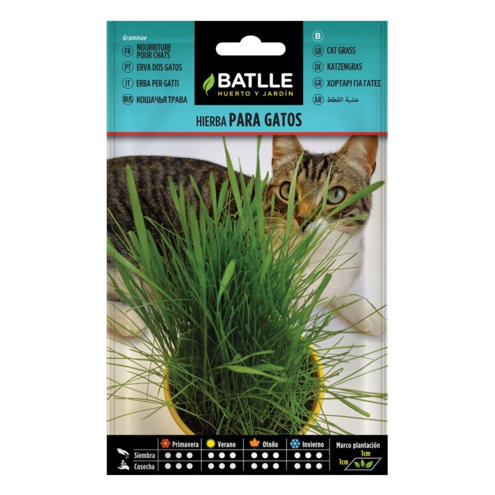 Hierba para Gato Batlle Sobre