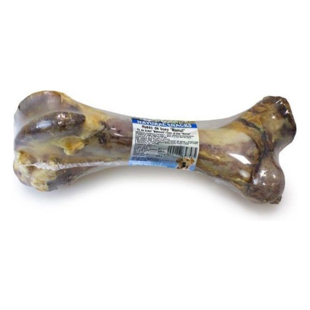 Hueso de Buey Mamut