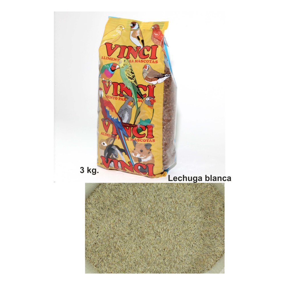 Lechuga Blanca Prodac 3 Kg