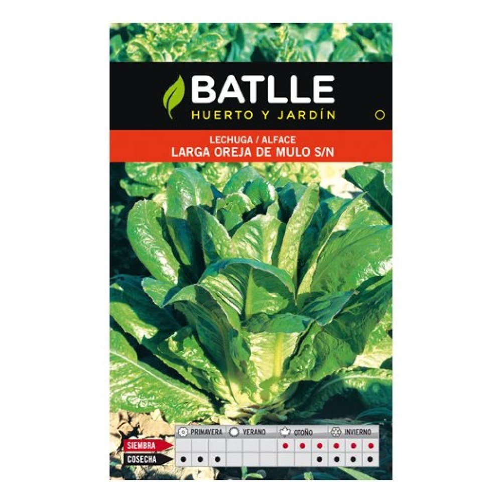 Lechuga Larga Oreja de Mulo