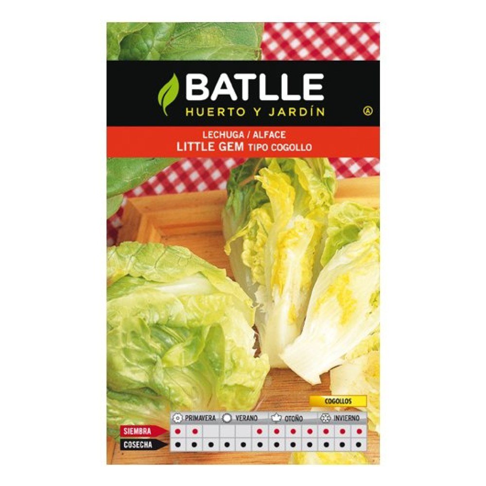 Lechuga Little Gem Cogollo