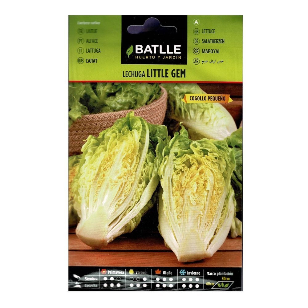 Lechuga Little Gem Cogollo